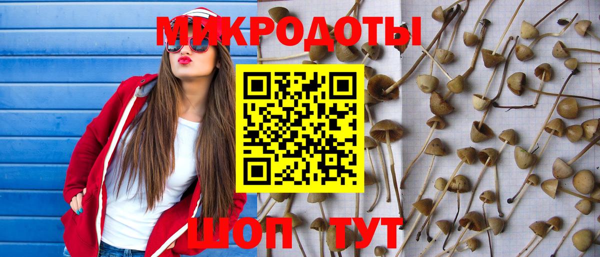 Галлюциногенные грибы мицелий  Псилоцибиновые грибы Psilocybine cubensis  Фролово  Вход с VPN 